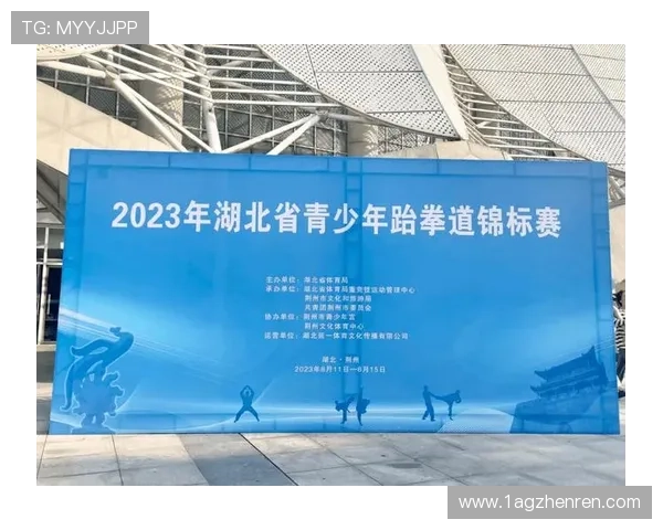 全面解析跆拳道比赛计划的制定与实施策略
